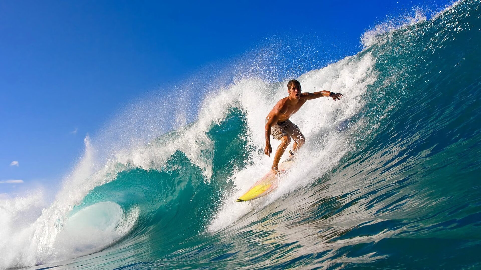 51岁贝嫂打脸现场!每年亏损1亿,强撑有钱人设,用尽了所有力气,贝嫂是干嘛的